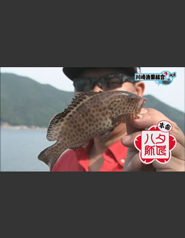 3枚目