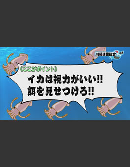2枚目