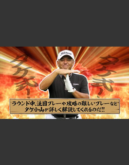 2枚目