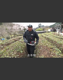 3枚目